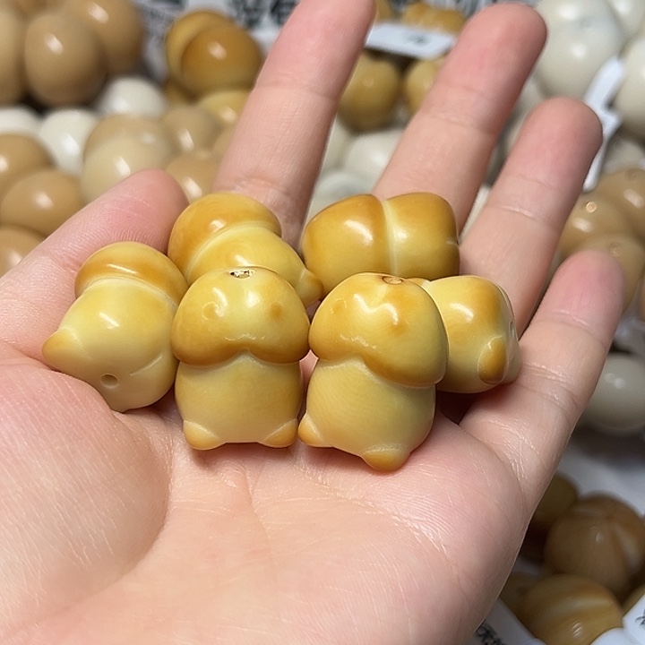 吊坠菩提根/象牙果全品丁丁给 2 个不退不换