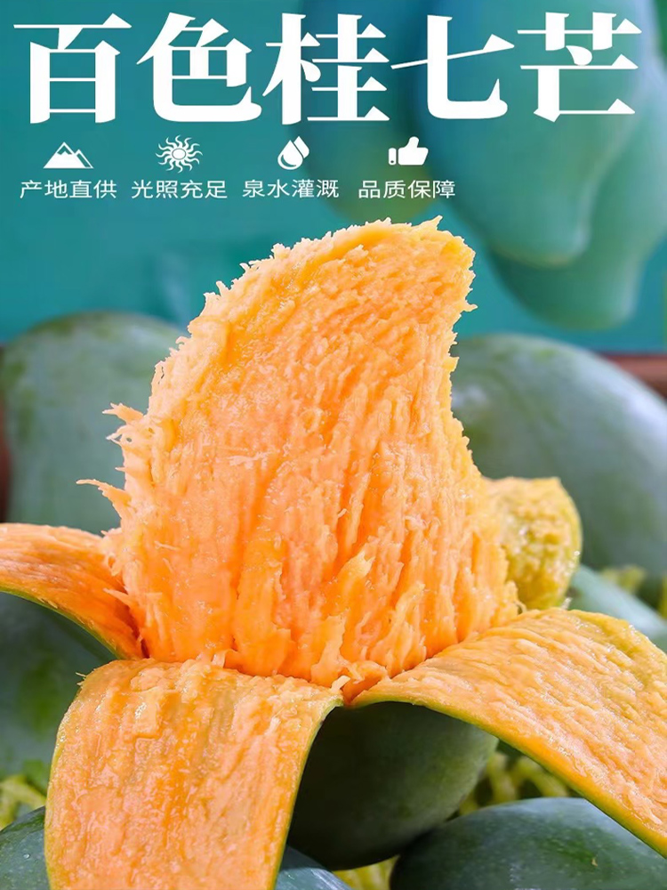 正宗广西百色芒果桂七新鲜现摘香甜多汁当季水果