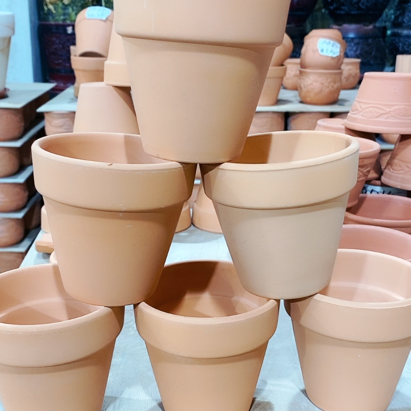 【闪购商品】红陶红陶1-10x10-6