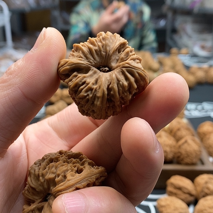 圆***️大叶紫檀（黑酸枝木类）南疆