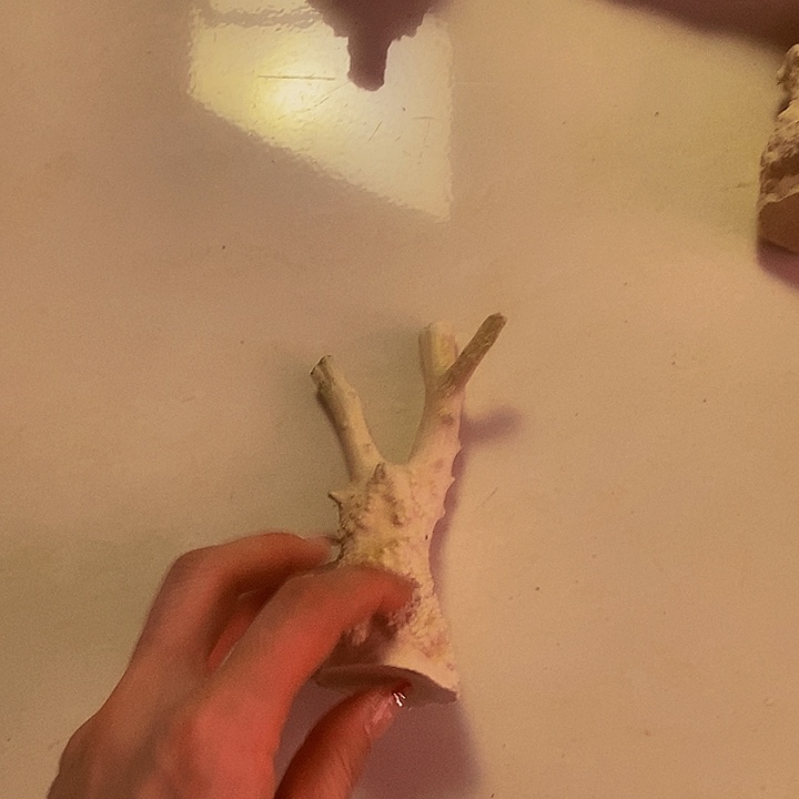 大***n黄杨木等多种木材