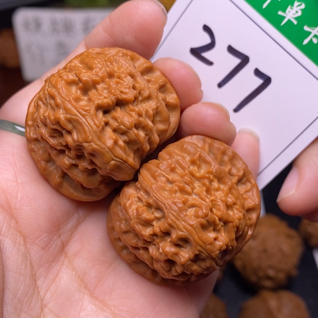 把件文玩核桃277闷尖球白狮子头3.8