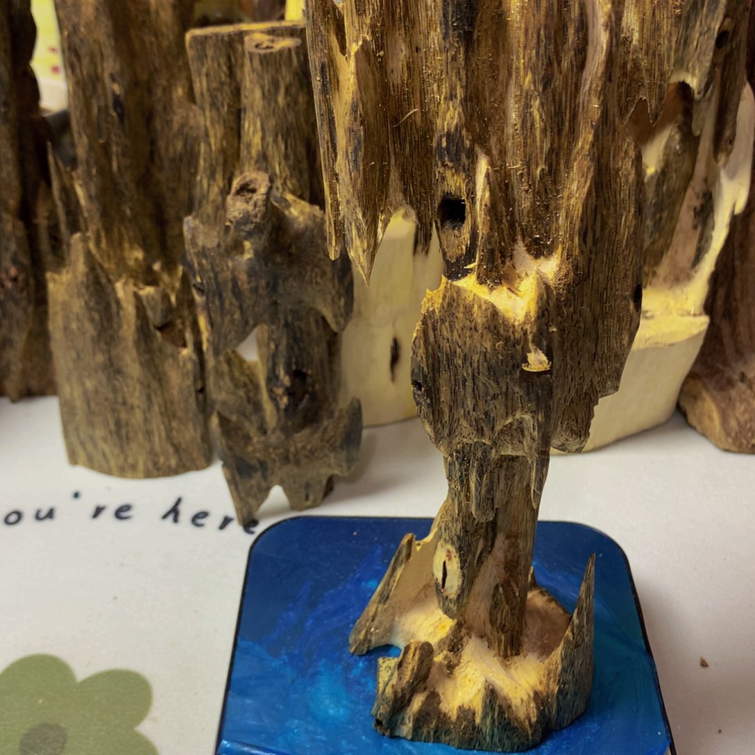 沉香沉香碎屑金莎叶虫漏168克