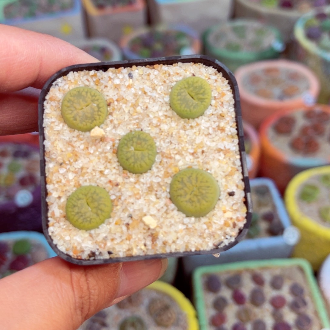 548。888888888888888888