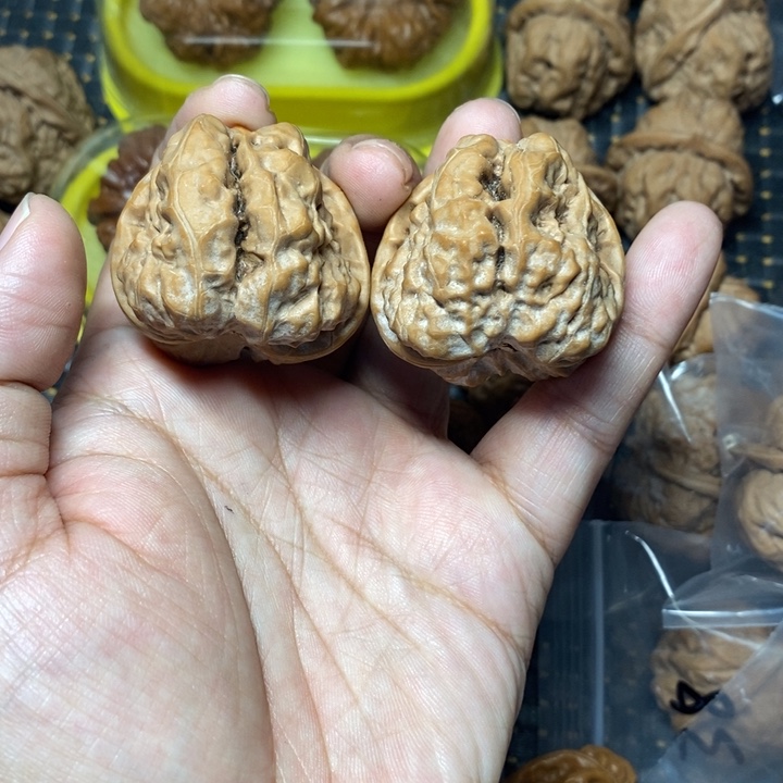 文玩核桃把件蛤蟆39