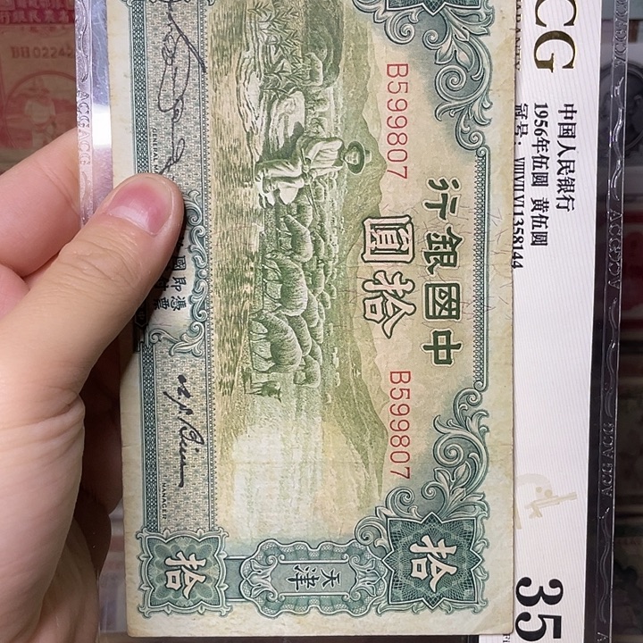 中国银行大绵羊拾圆