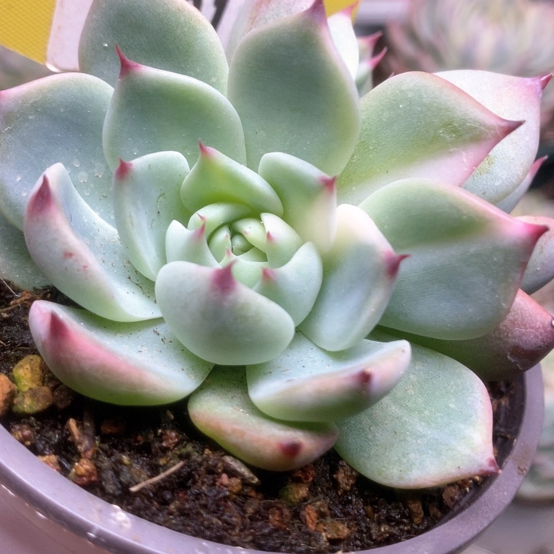 134锦锦锦锦锦锦锦