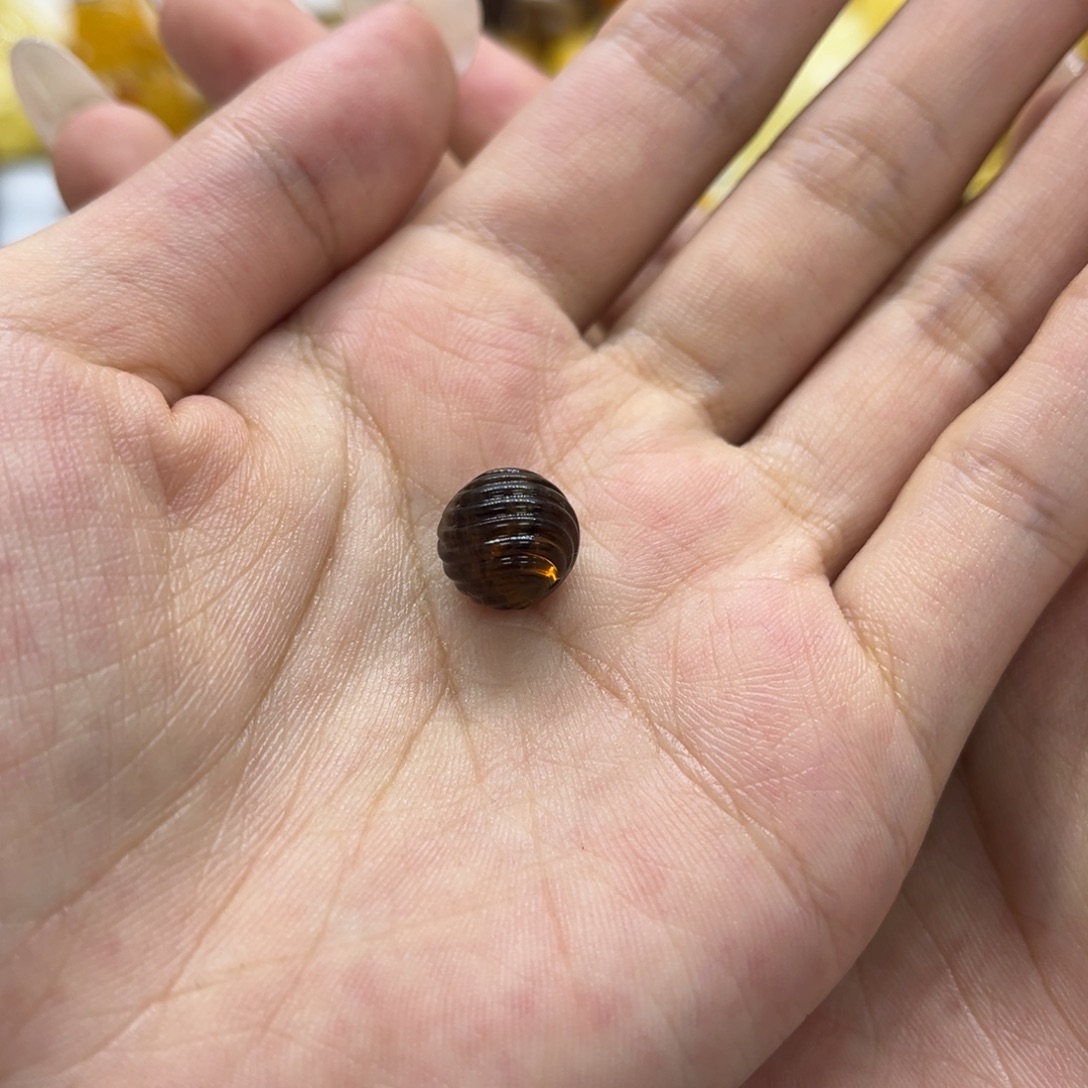 *****琥珀未镶嵌裸石天然琥珀