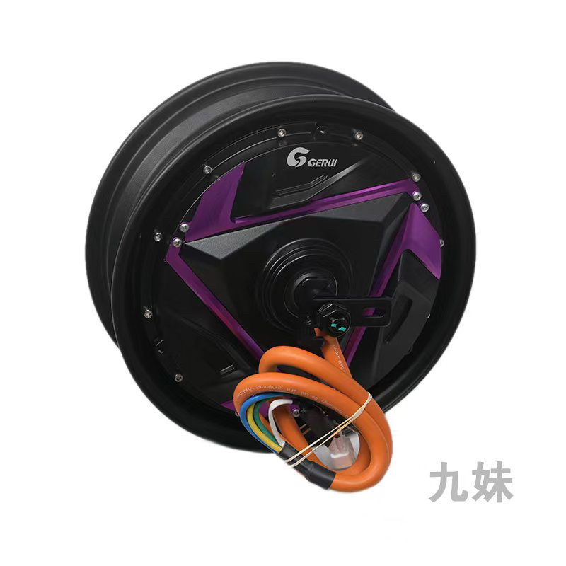 九号m95c直上金宇星高端格锐2000w 10寸电机