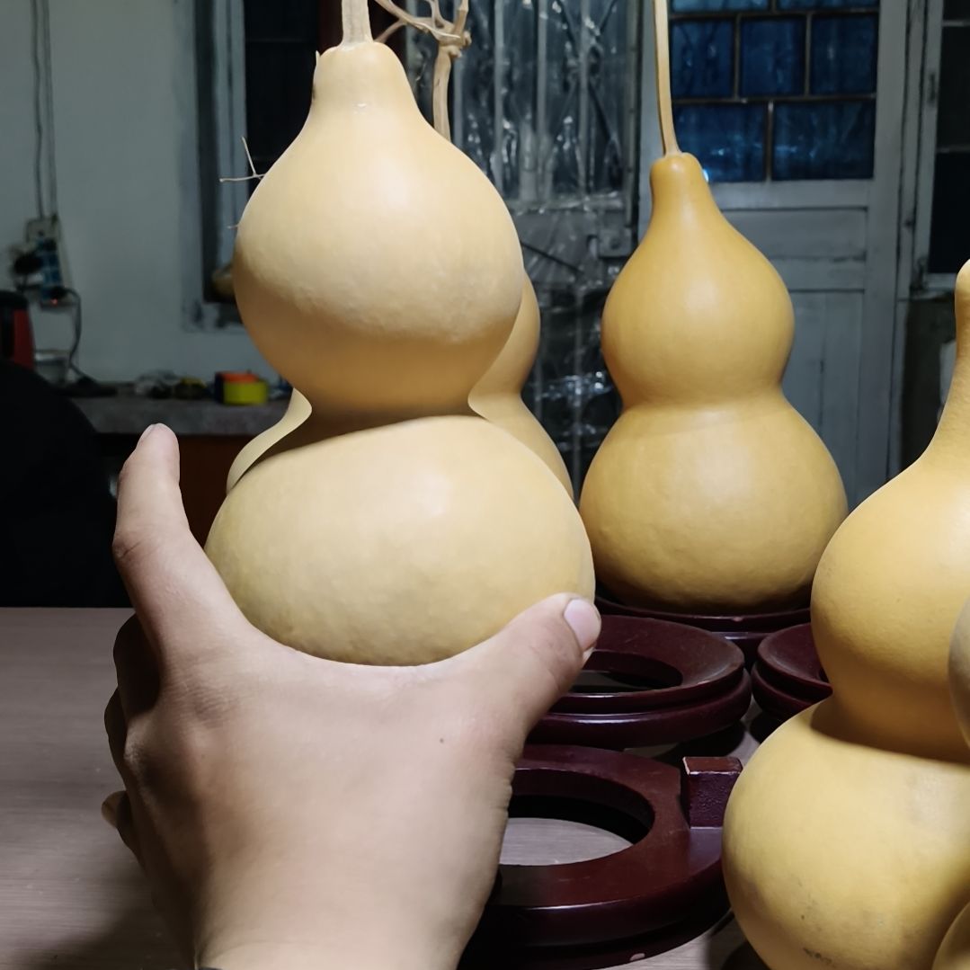 三醋酯纤维1234567890