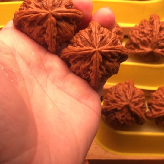 布***侯核桃核桃核桃核桃核桃