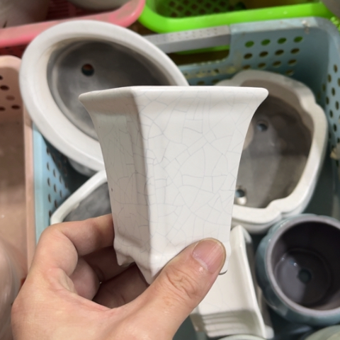 ［所有订单凑满15明天发］7+9