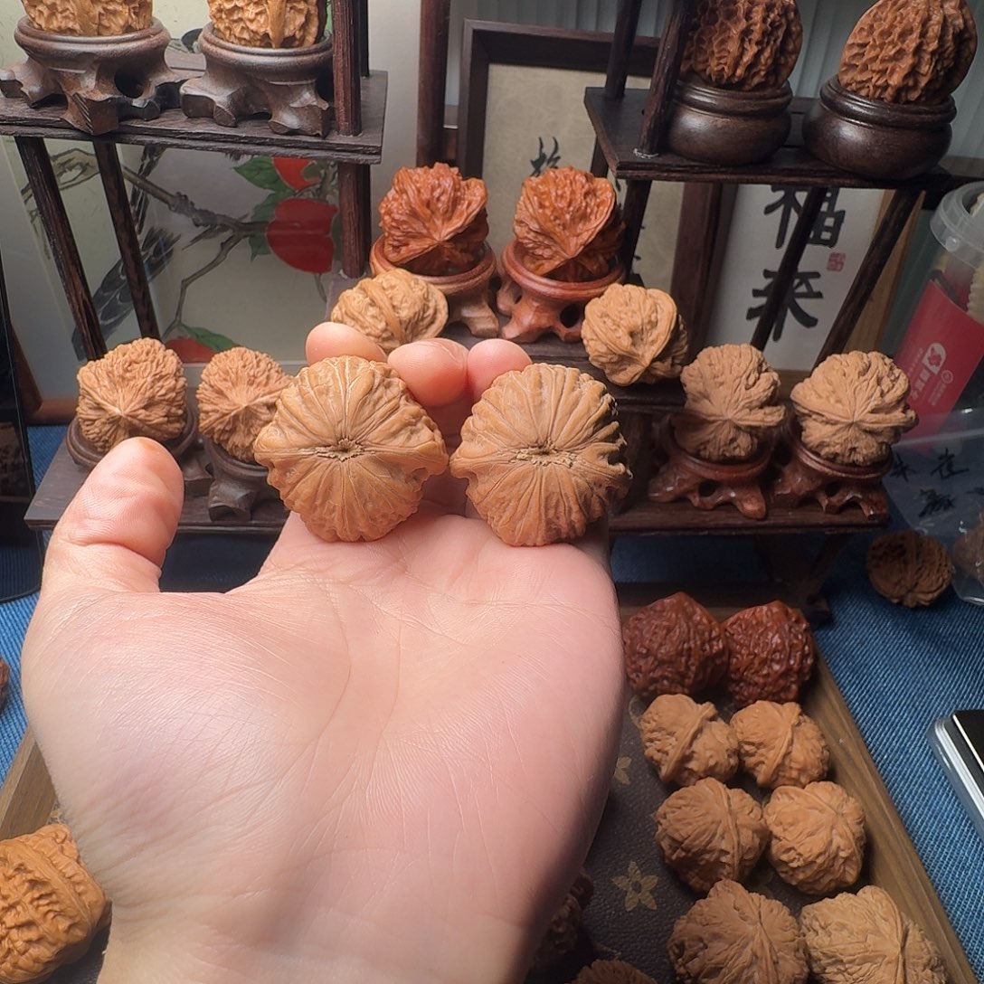 我***头核桃铁锤妹妹666888