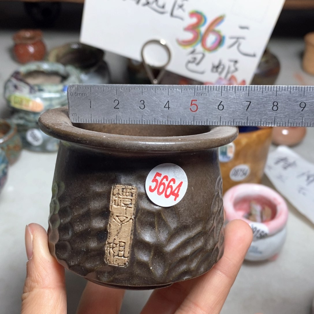 花盆双十二活动不退不换的原24元一个