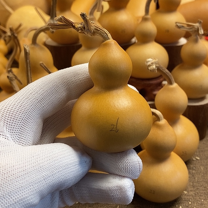 文玩葫芦 完美主义者 慎拍26