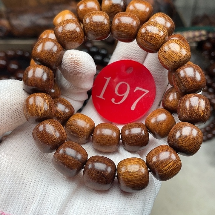 贡木其他多样性发其一1314