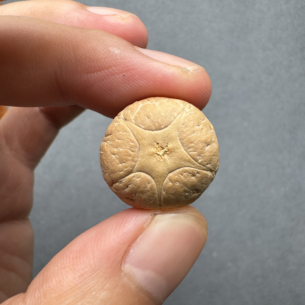 精品20+五星上将菩提凤眼菩提三通佛头，非质量问题开孔不退