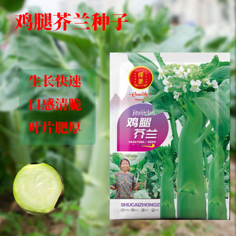 【杨姐推荐】芥蓝种子粗条鸡腿芥兰菜园种植耐热蔬菜农家播种