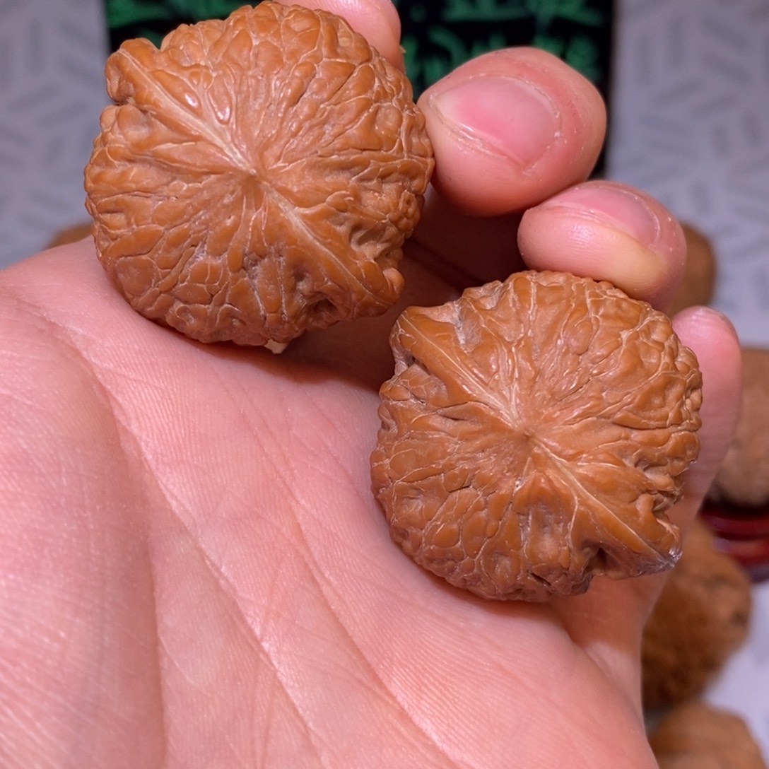 36尺铁锤 全品无修 白茬 克重好