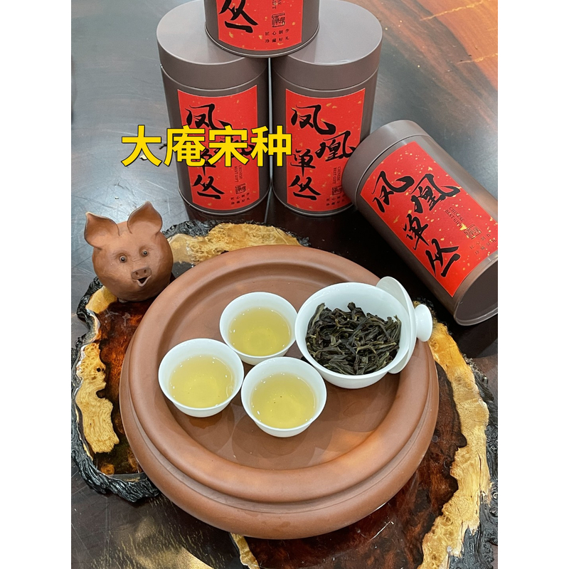 【大庵宋种】欢择茶行凤凰单枞茶大庵宋种香气浓郁回甘好香到你惊