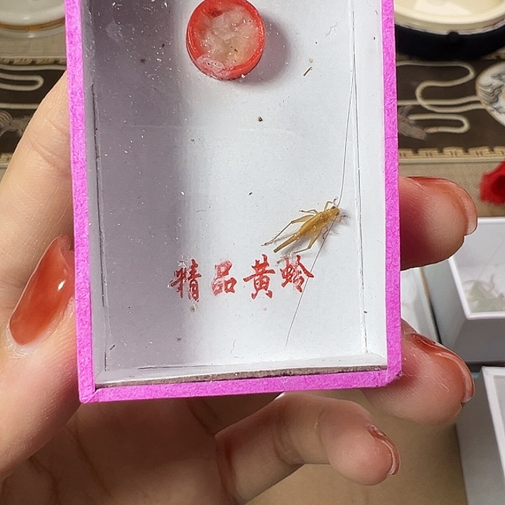 鸣虫一只包邮嗯嗯