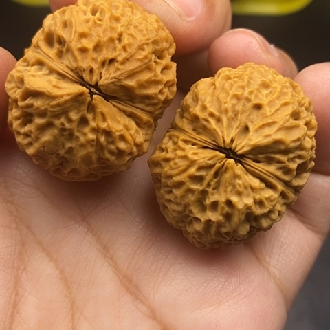 文玩核桃把件36尺铁狮子球