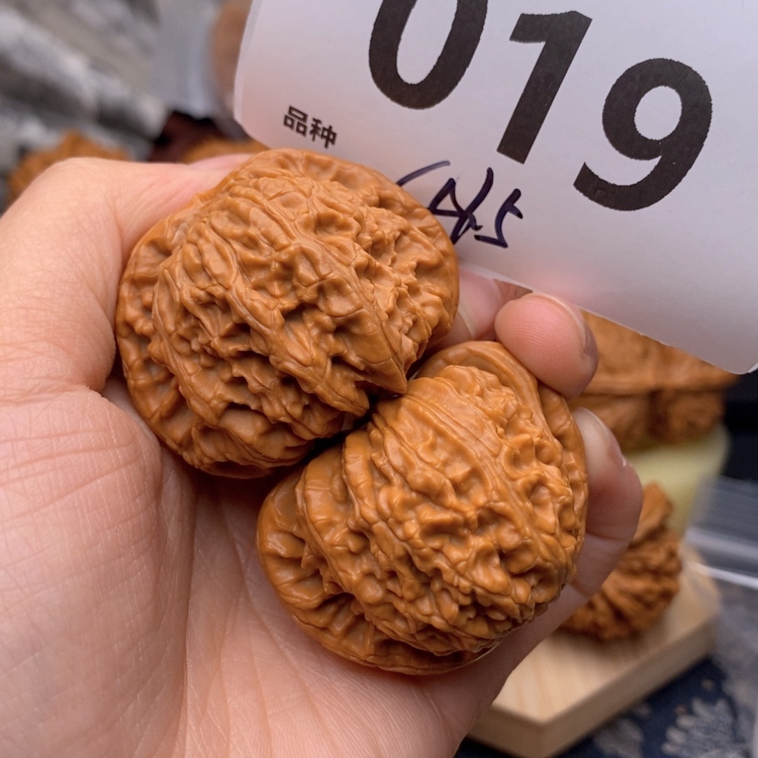 文玩核桃把件019号41.5白