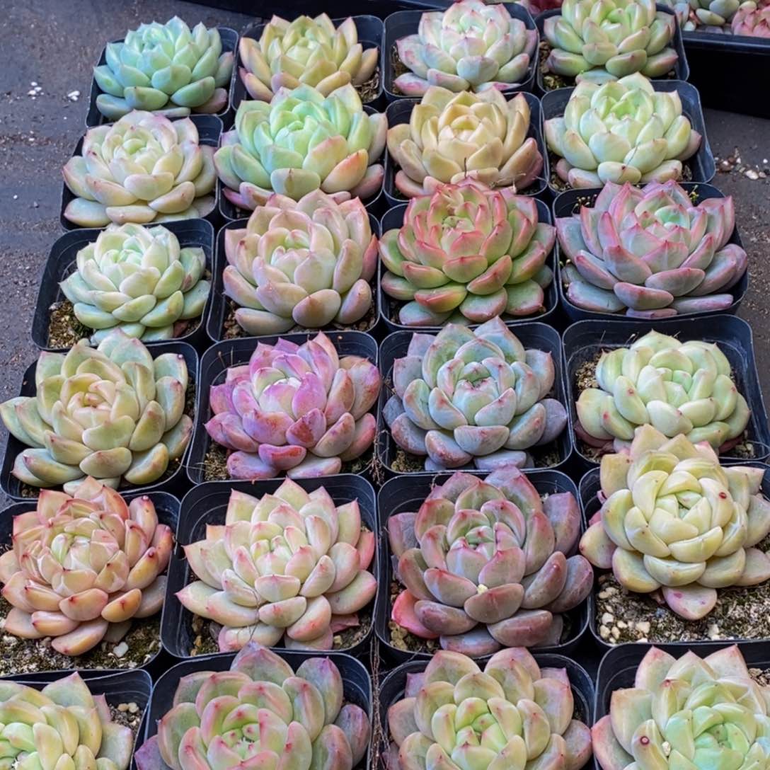 564的人在一起的时候