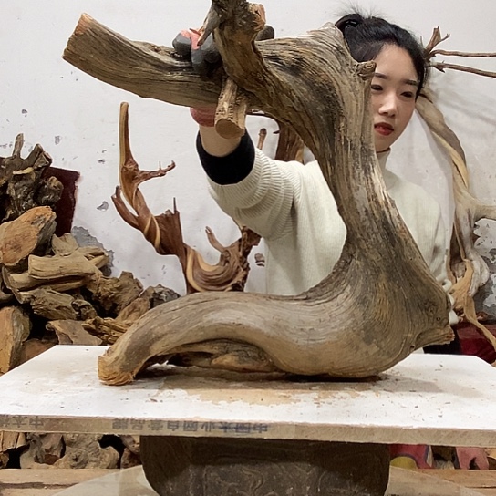 威***乔柏木我们都是好孩子