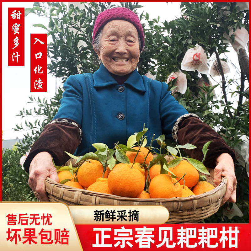 正宗四川春见耙耙柑5斤/9斤整箱当季新鲜水果柑橘非丑橘爆甜多汁