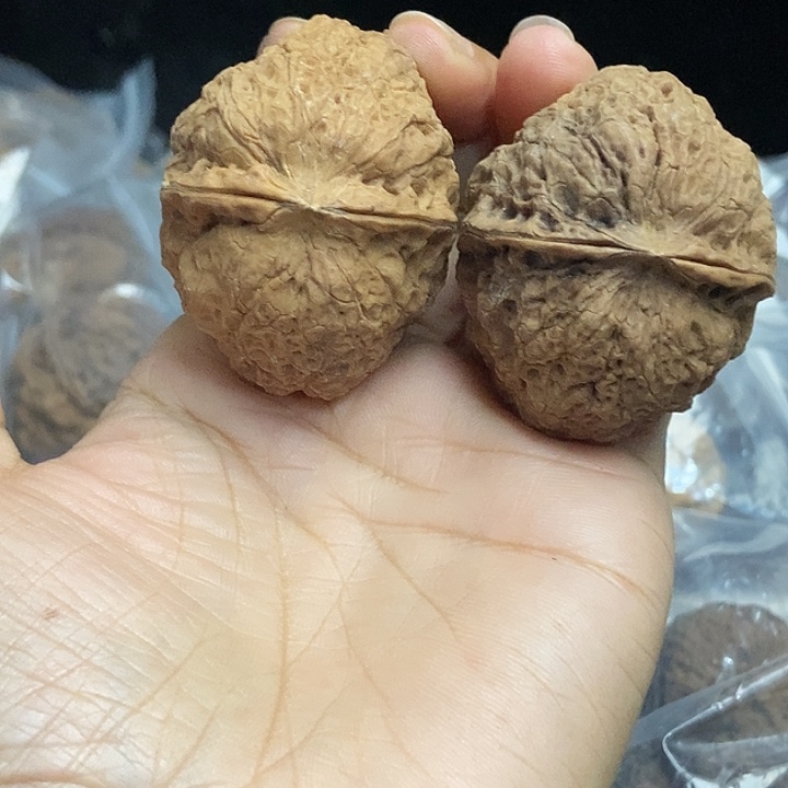木质类云南铁核桃+36