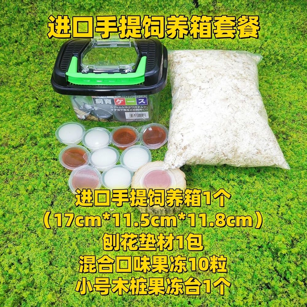 （直播福利）7cm以上独角仙公➕进口盒套餐➕直播多送5个果冻