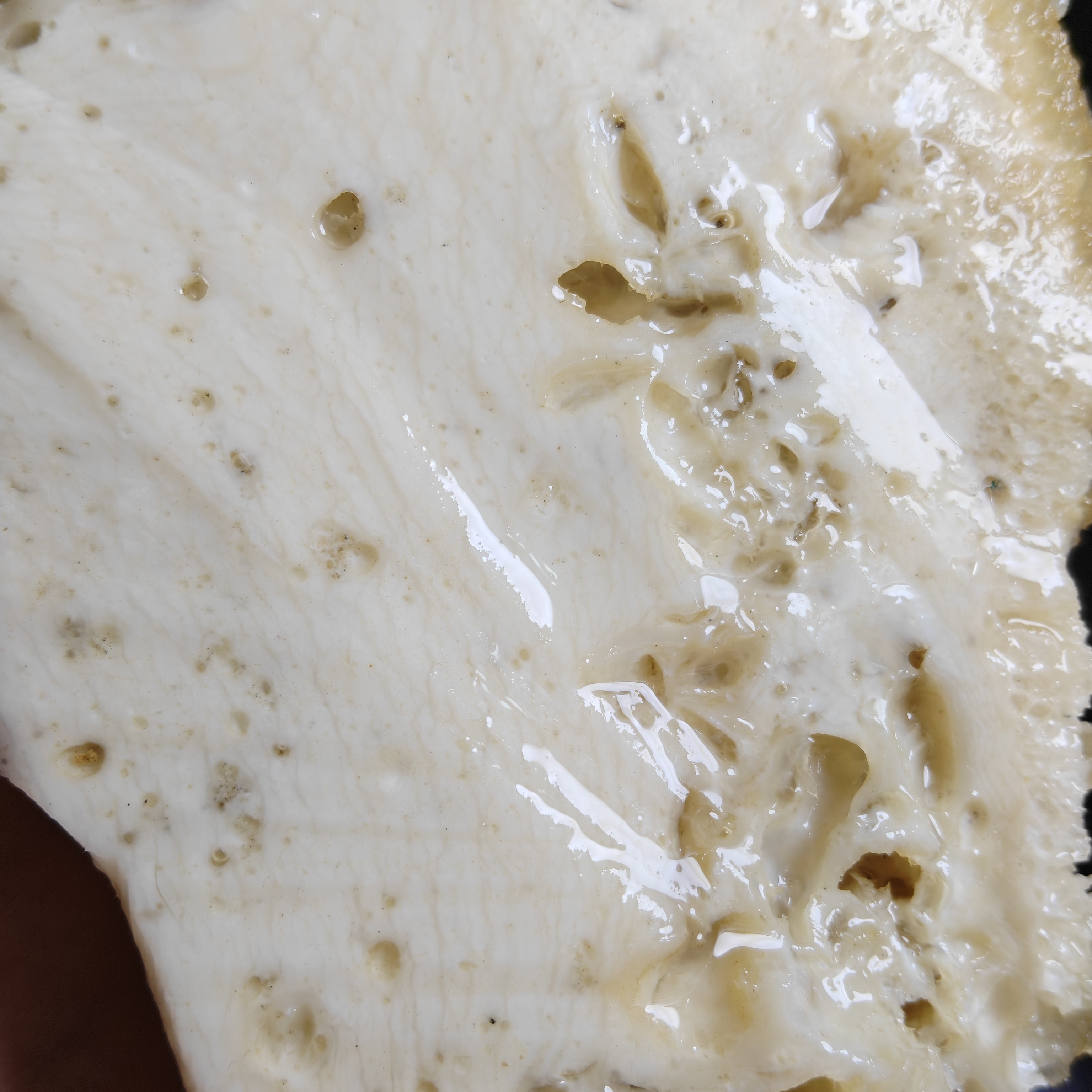 100克土太岁肉灵芝随机切发货活化石野外挖的摆件