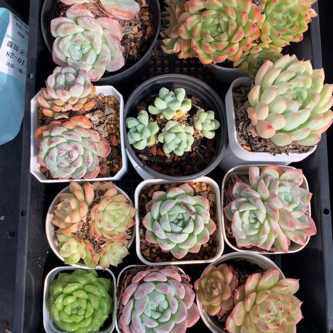 1110-27 套餐一组