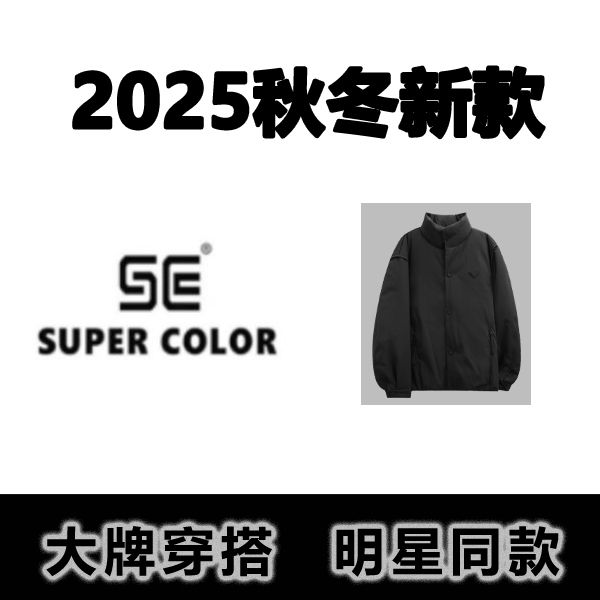 supercolor【黑武士羽绒服】25ss//新款轻奢百搭立领纯色羽绒服 H