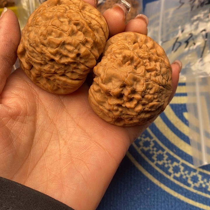 W***e吊坠桃核龙鼎53全品