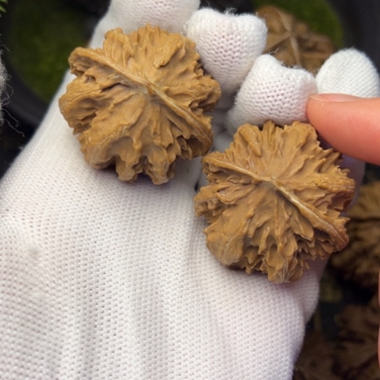 把件文玩核桃秦岭核桃3