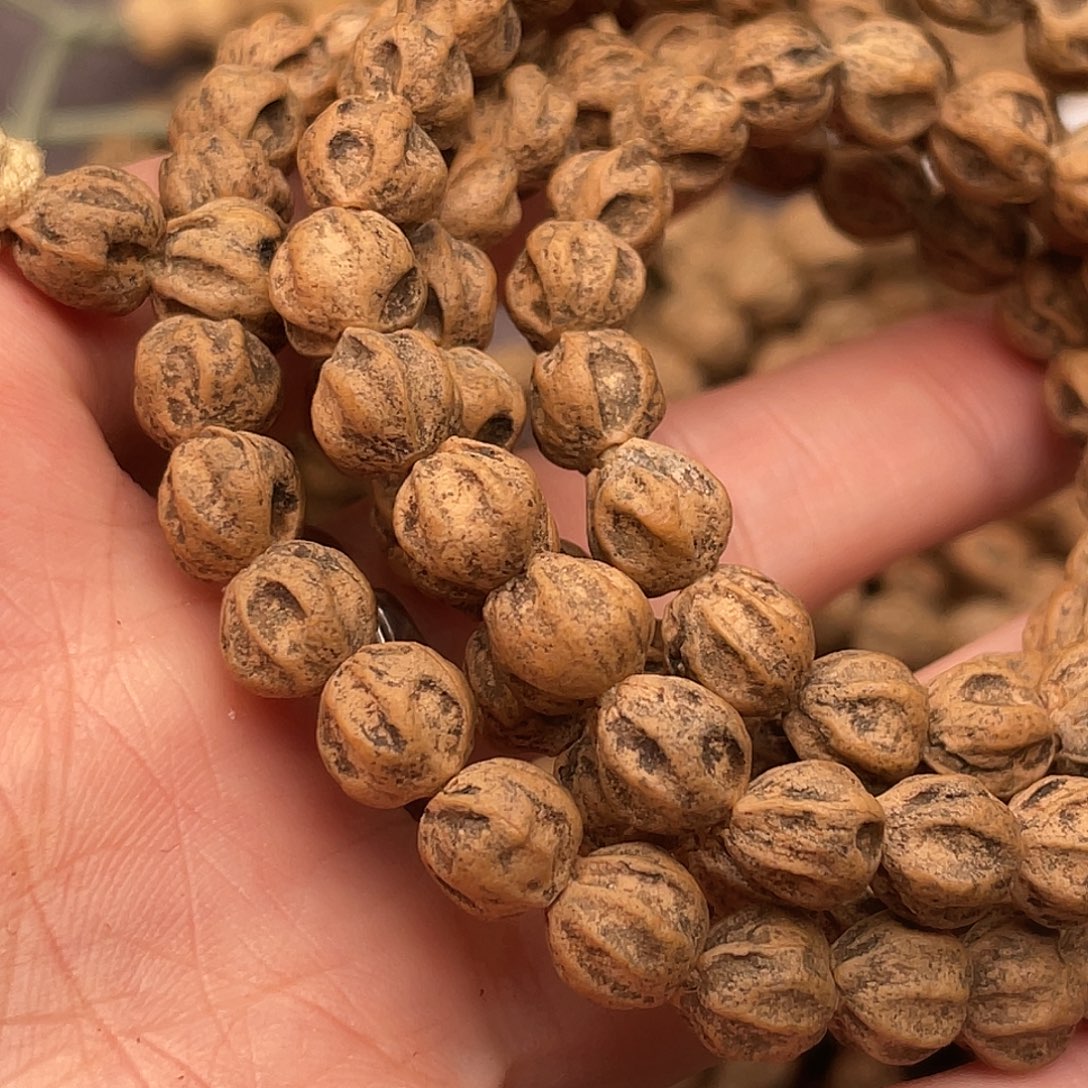 西***狼把件柏香籽/百香籽