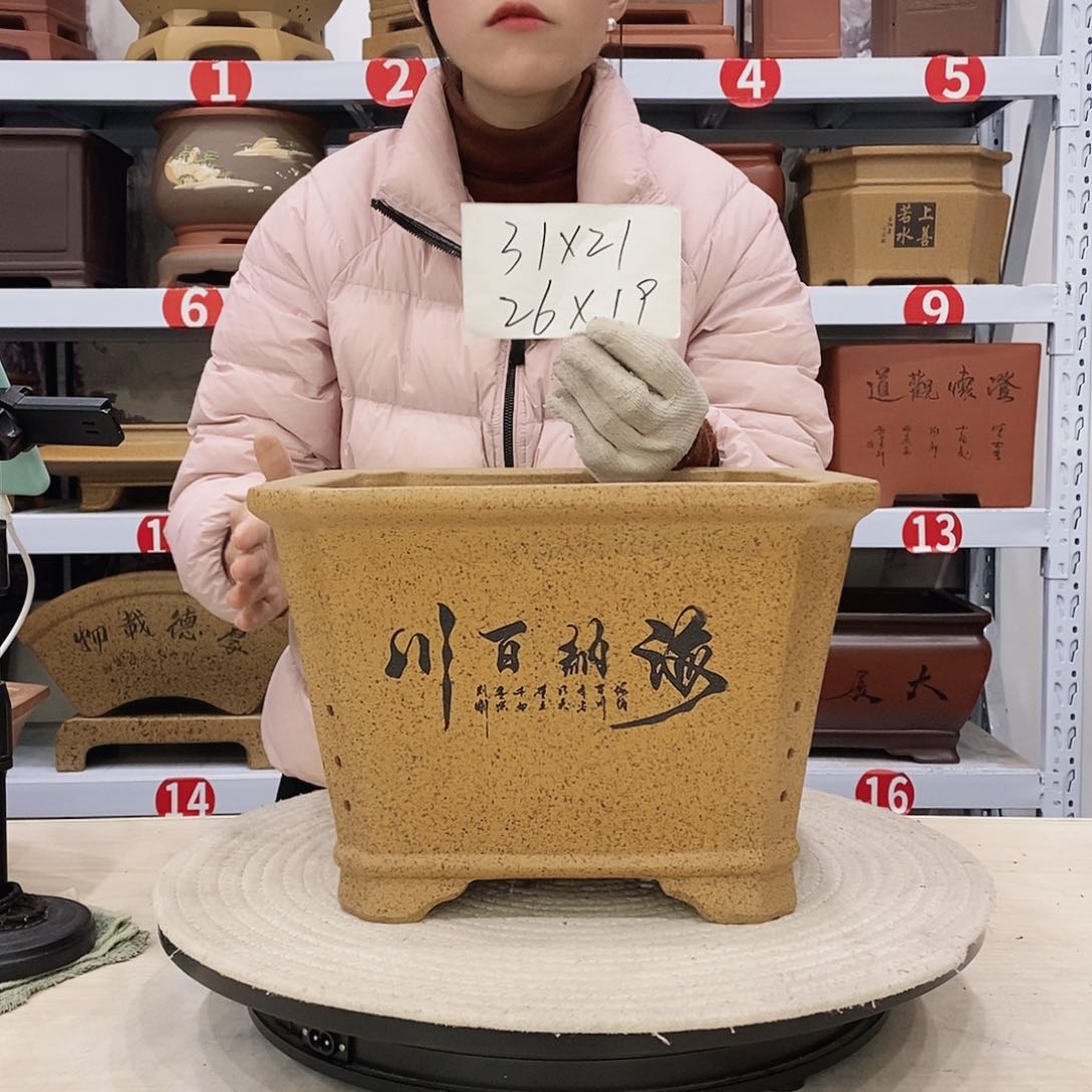 紫砂花盆紫砂花盆