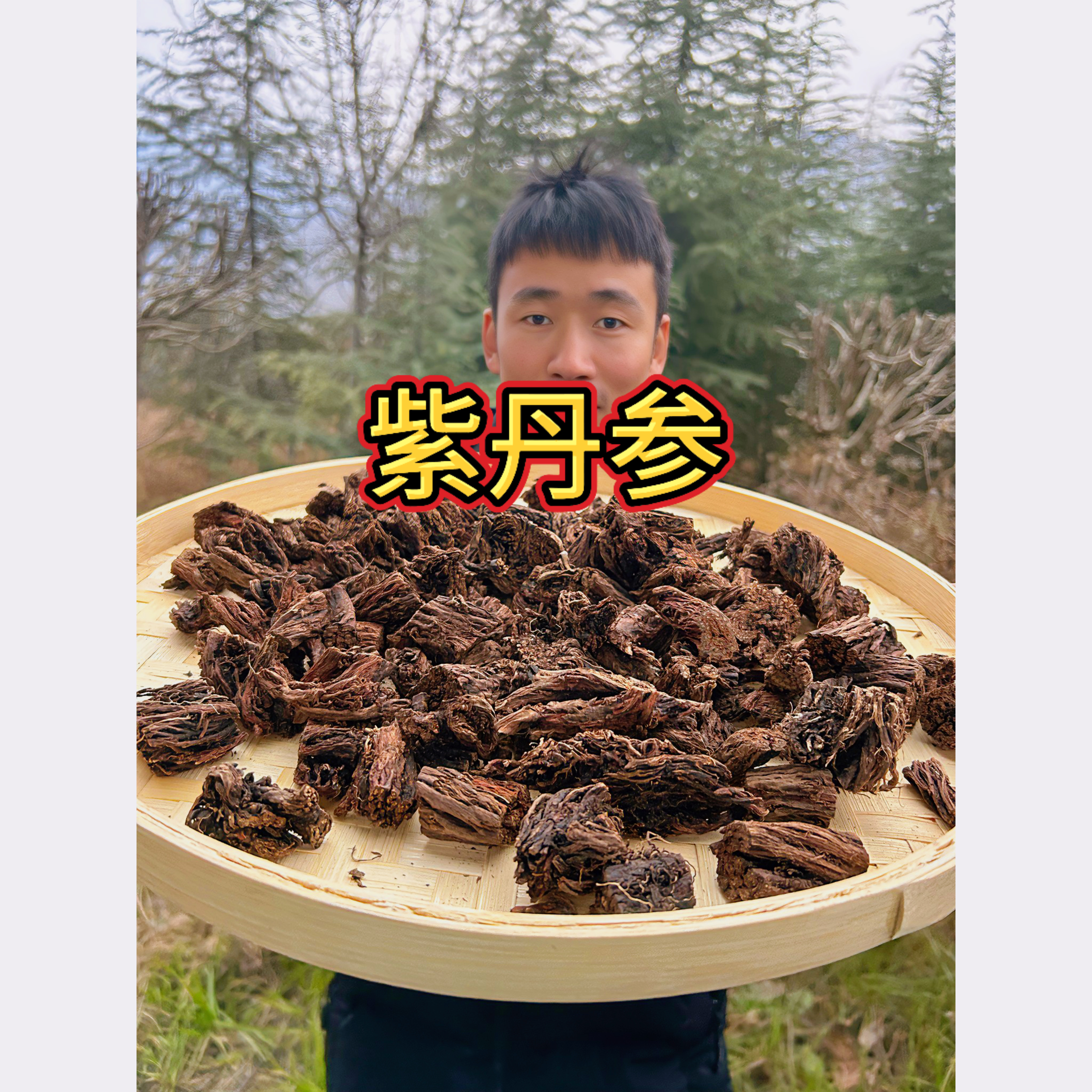 【紫丹参】正宗野生紫皮丹参无硫足干可泡水煲汤新货包邮