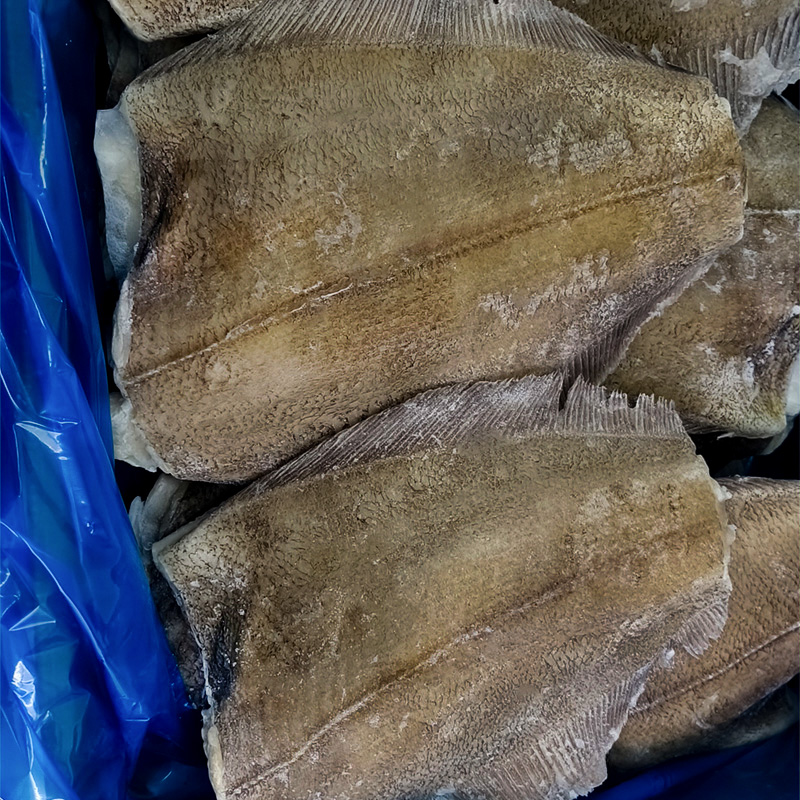 【3号链接】深海鲽鱼身 比目鱼  