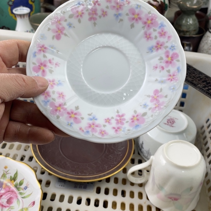 碟开播了开播了开播了