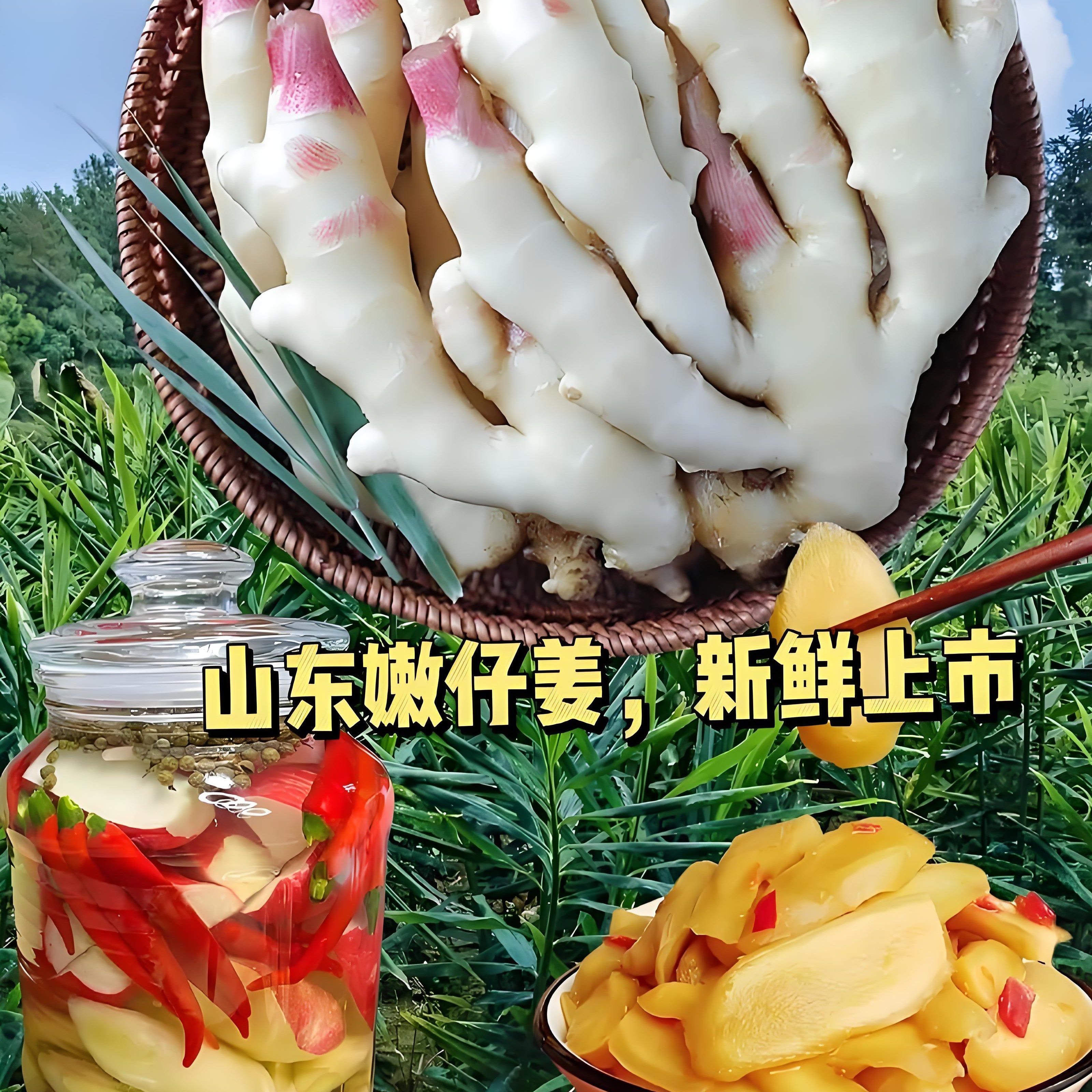嫩仔姜500g