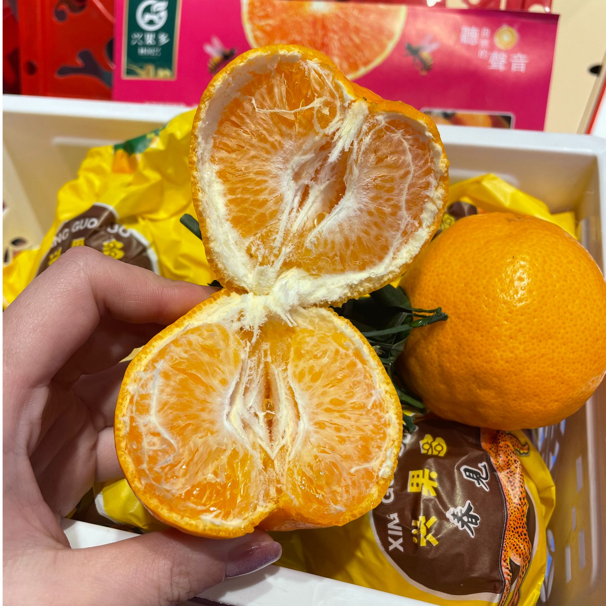 【新春福利】 爆浆春见耙耙柑   整箱约5斤左右