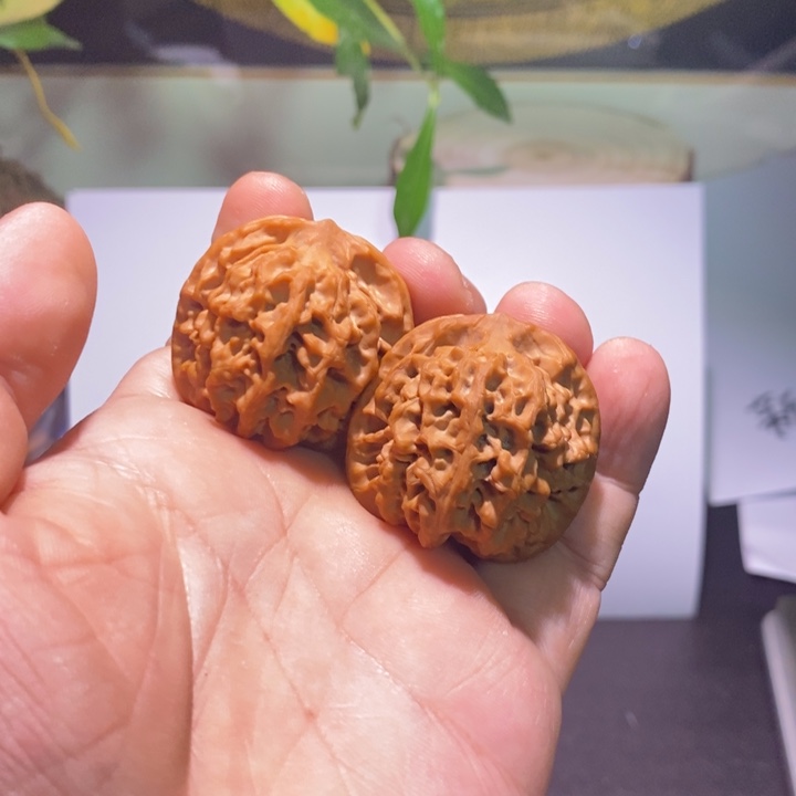 干***a核桃精品文玩核桃