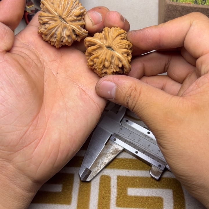 S***.40左右全品楼子