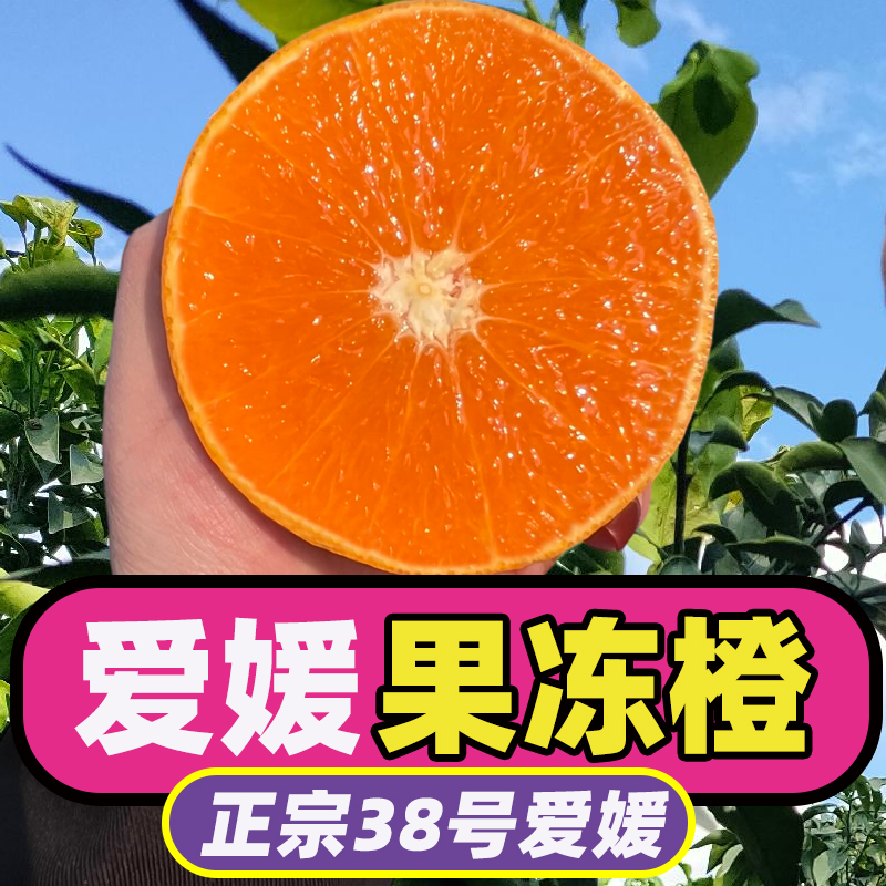 【试吃三颗】正宗四川爱媛38号果冻橙新鲜孕妇水果整箱升级套袋包邮