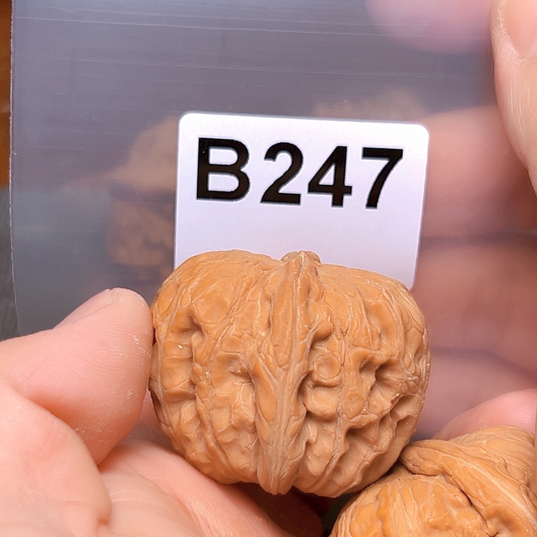 文玩核桃吊坠42元宝 有瑕疵