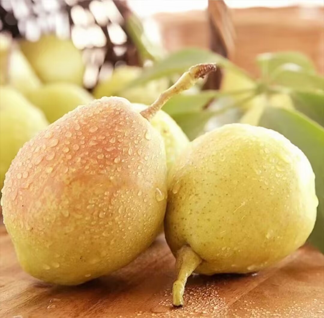 新疆库尔勒香梨新鲜水果脆甜爆汁当季水果中大果新疆水果