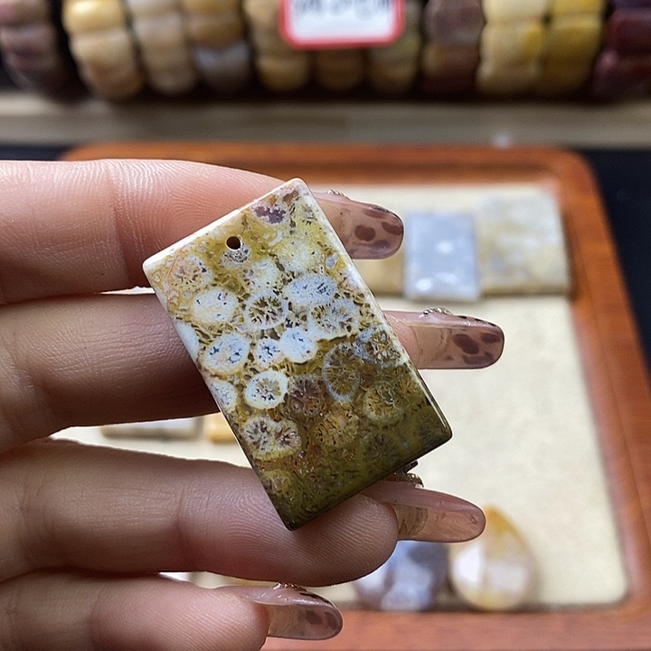 硅化珊瑚（珊瑚玉）未镶嵌颈饰